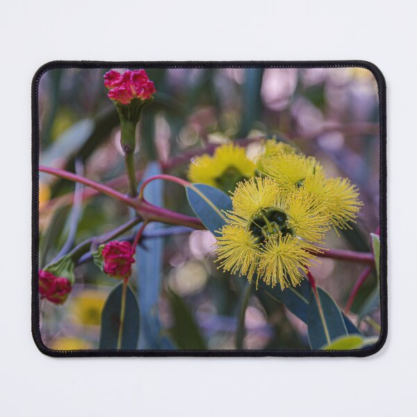 Item preview, Illyarrie Red-Capped Gum Macro Photography – Fine Art Photography Print designed and sold by MinzMarchStudio.