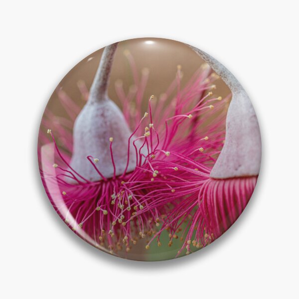 Item preview, Silver Princess Eucalyptus Caesia macro - Modern Native Botanical Art Print designed and sold by MinzMarchStudio.