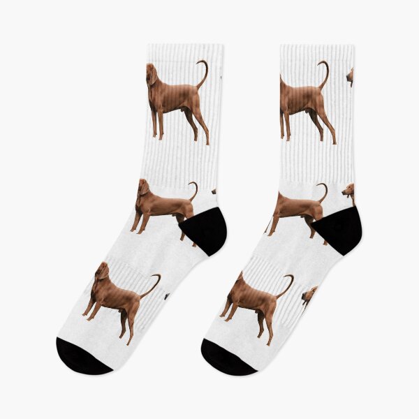 Item preview, Vintage Coonhound Portrait designed and sold by GiaoCalonas.