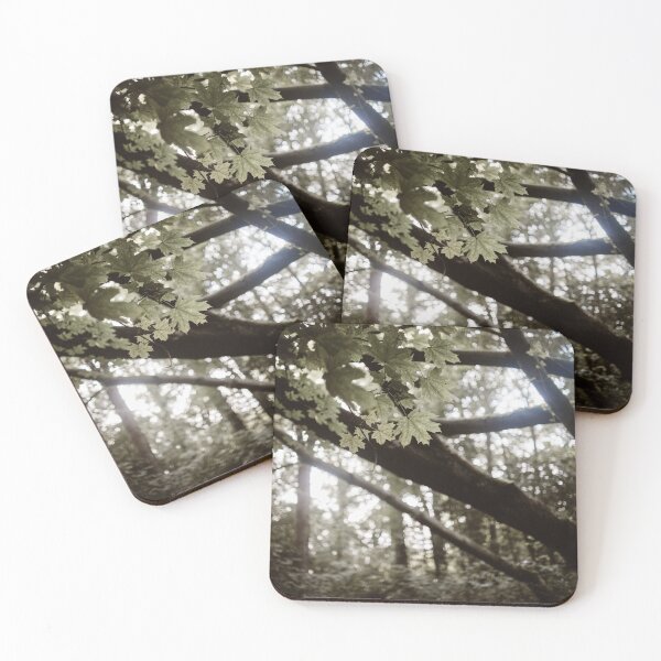 Item preview, Between the trees designed and sold by WearEverAfter.