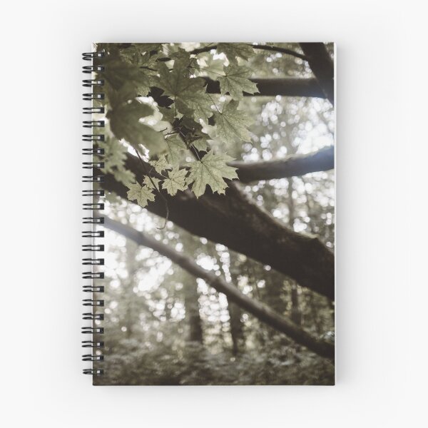 Item preview, Between the trees designed and sold by WearEverAfter.