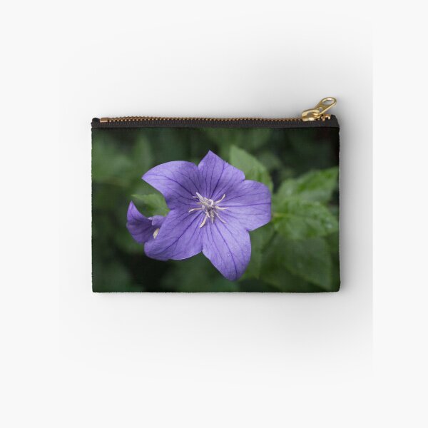 Item preview, Elegant Violet Balloon Flower Blooms designed and sold by Georgia Mizuleva.