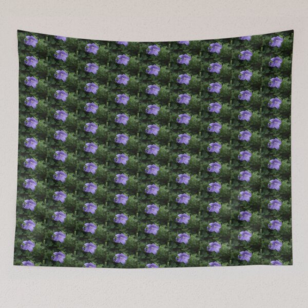 Item preview, Elegant Violet Balloon Flower Blooms designed and sold by Georgia Mizuleva.