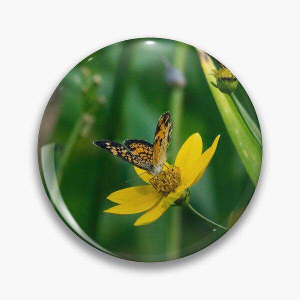 Item preview, Pearl Crescent butterfly Feeding on a Bright Yellow Wildflower designed and sold by Astute-Artio-Photography.