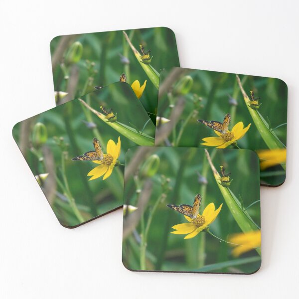 Item preview, Pearl Crescent butterfly Feeding on a Bright Yellow Wildflower designed and sold by Astute-Artio-Photography.