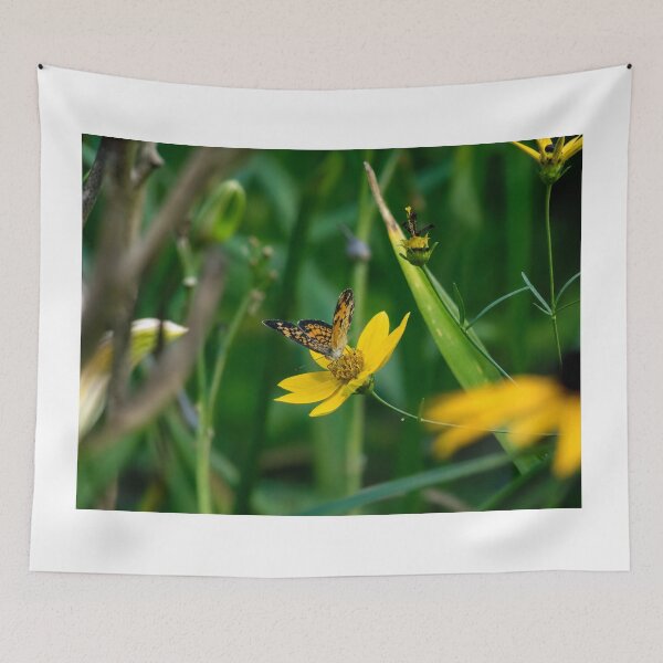 Item preview, Pearl Crescent butterfly Feeding on a Bright Yellow Wildflower designed and sold by Astute-Artio-Photography.