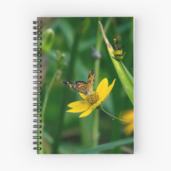 Item preview, Pearl Crescent butterfly Feeding on a Bright Yellow Wildflower designed and sold by Astute-Artio-Photography.