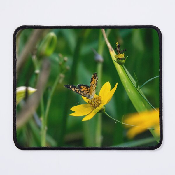 Item preview, Pearl Crescent butterfly Feeding on a Bright Yellow Wildflower designed and sold by Astute-Artio-Photography.