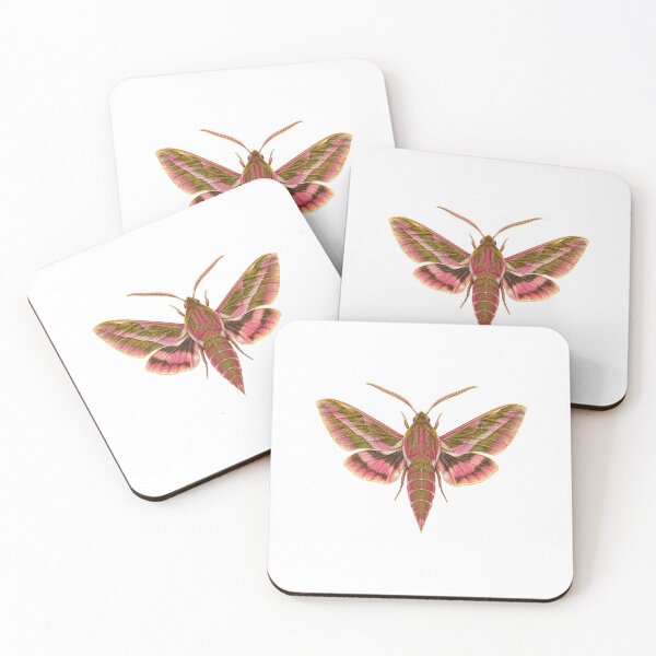 Item preview, Elephant Hawk Moth | Vintage Entomology Botanical Art | Moth Lover Gift designed and sold by Brackenlume Studio.