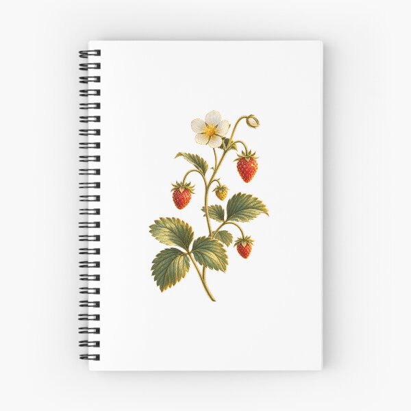Item preview, Woodland Strawberry | Cottagecore Botanical Art | Wild Strawberry Gardener Gift designed and sold by Brackenlume Studio.
