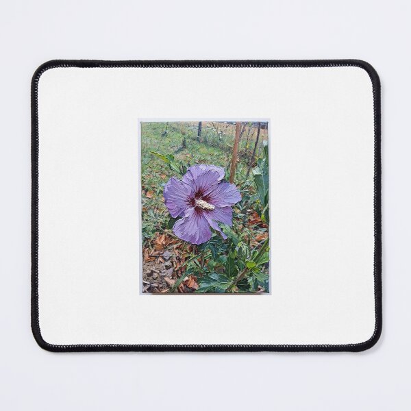 Item preview, Purple Hibiscus Flower in Nature designed and sold by SofiaByCruti.