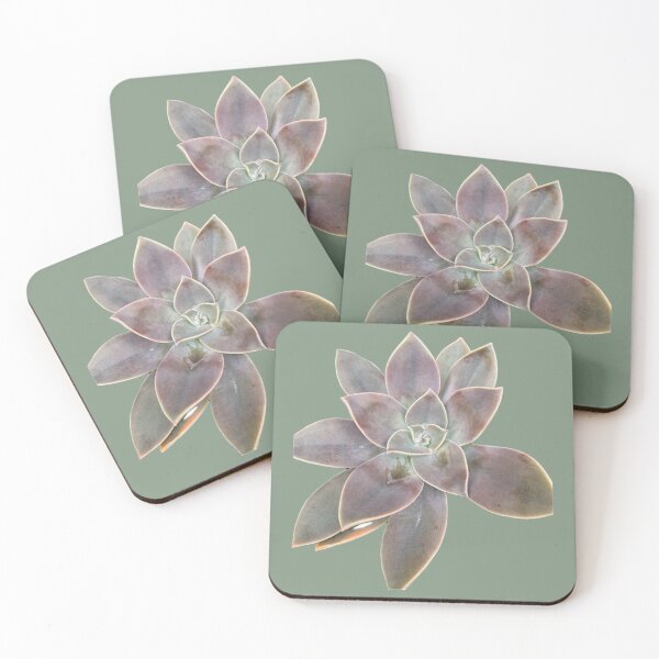 Item preview, Isolated Dusty Purple Succulent Echeveria Rosette Macro Cutout designed and sold by BalkanBloomArt.