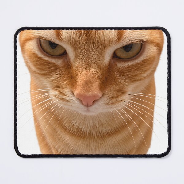 Item preview, Grumpy Orange Cat designed and sold by Peac7e.