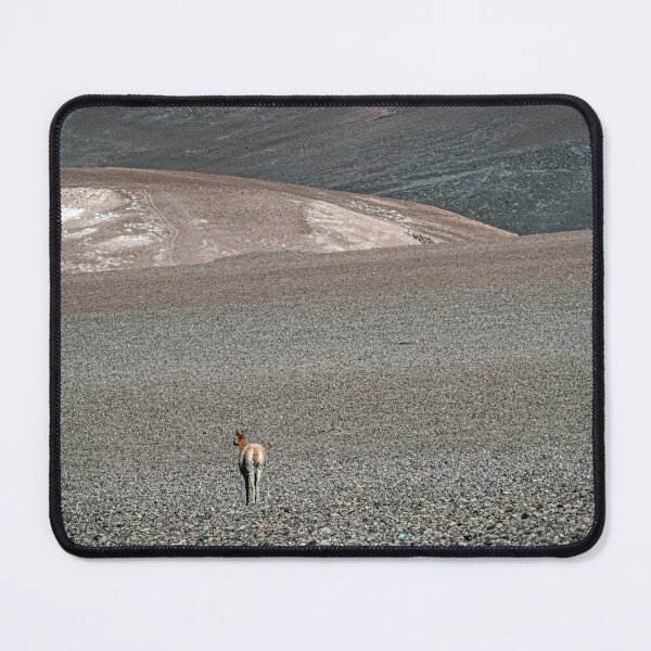 Item preview, Solitary Vicuña Facing the Quewar Volcano designed and sold by Keltoi-art.