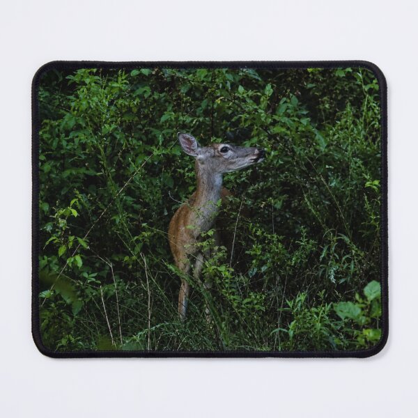 Item preview, Curious White-tailed Deer Hiding in Lush North Carolina Meadow Foliage designed and sold by Astute-Artio-Photography.