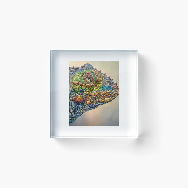 Item preview, Rainbow Lizard designed and sold by trevorp.