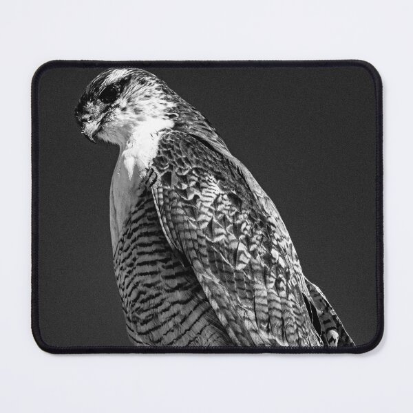Item preview, Peregrine Falcon Perched on a Rock designed and sold by Keltoi-art.