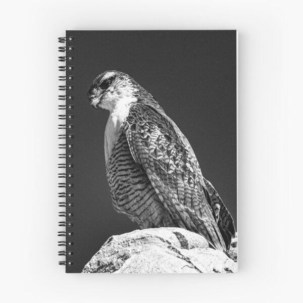 Item preview, Peregrine Falcon Perched on a Rock designed and sold by Keltoi-art.