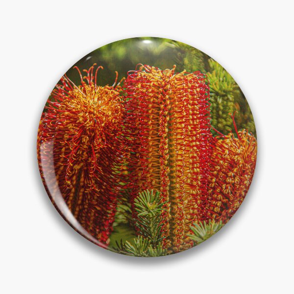 Item preview, Heath-Leaved Orange Banksia ericifolia Macro – Fine Art Photography Print designed and sold by MinzMarchStudio.