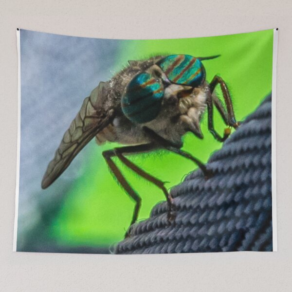 Item preview, Horsefly Macro photograph designed and sold by Jon Shore.