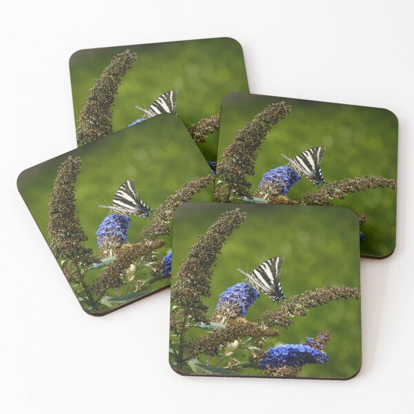 Item preview, Zebra Swallowtail Butterfly on Blue Butterfly Bush Blossom designed and sold by Astute-Artio-Photography.