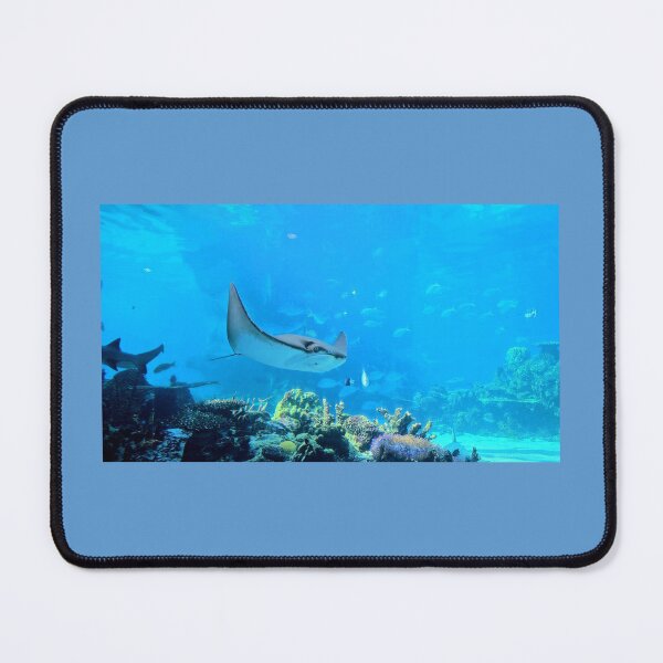 Item preview, Stingray in ocean original photography designed and sold by Wildcard_Designs.