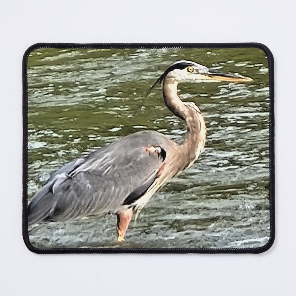 Item preview, A Spring Visitor designed and sold by bellaura.