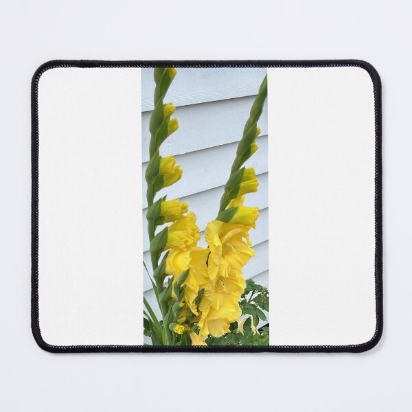 Item preview, Vibrant Yellow Gladiolus Flowers in Garden designed and sold by Julia9632.