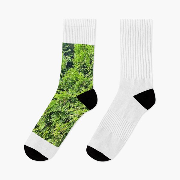 Item preview, Lush Green Thuja Cypress Foliage Texture Pattern⁠ designed and sold by Julia9632.