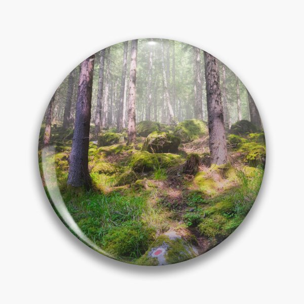 Item preview, Mossy forest trail in Maltatal valley, Austrian Alps designed and sold by RastislavS.