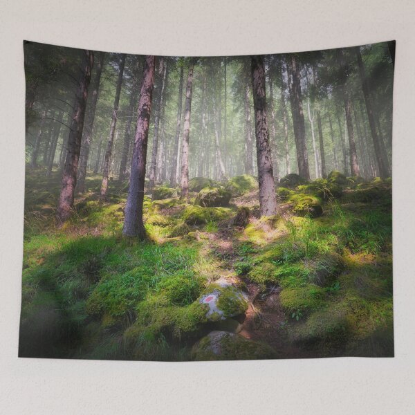 Item preview, Mossy forest trail in Maltatal valley, Austrian Alps designed and sold by RastislavS.