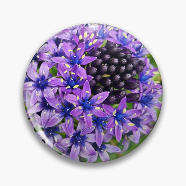 Item preview, The Cuban Lily  with forget-me-nots in the background. designed and sold by buttonpresser.