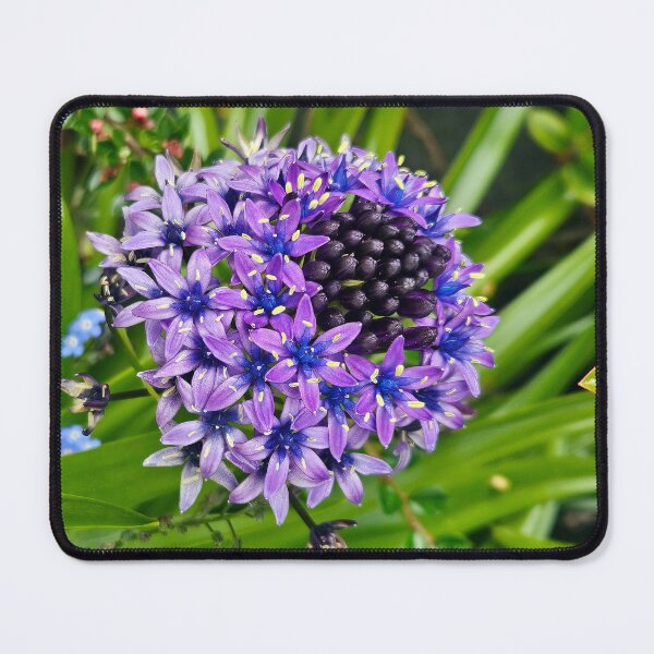 Item preview, The Cuban Lily with forget-me-nots in the background. designed and sold by buttonpresser.