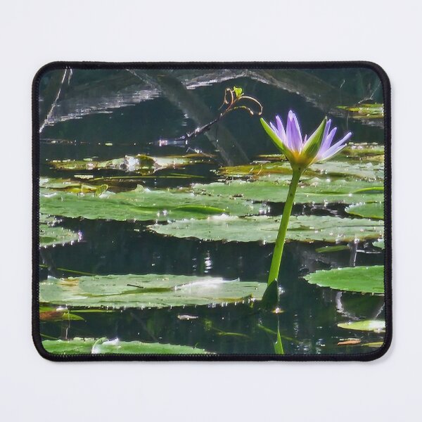Item preview, Lillypad and solitary flower original photography designed and sold by Wildcard_Designs.
