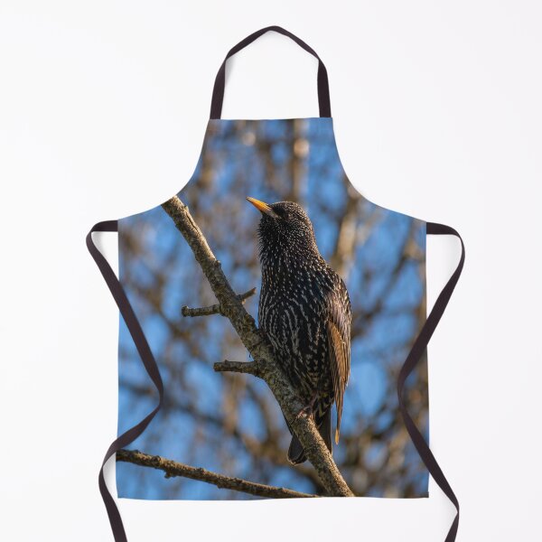 Item preview, European Starling Perched on a Tree Branch Against a Bright Blue Sky designed and sold by Astute-Artio-Photography.