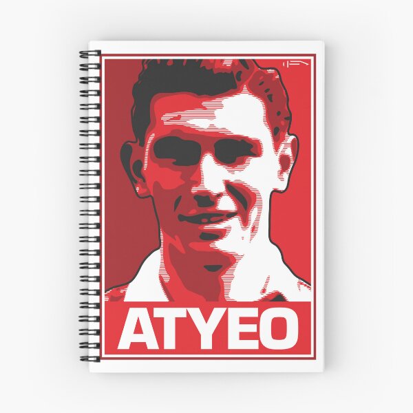 Item preview, Atyeo - BRC designed and sold by DFA.