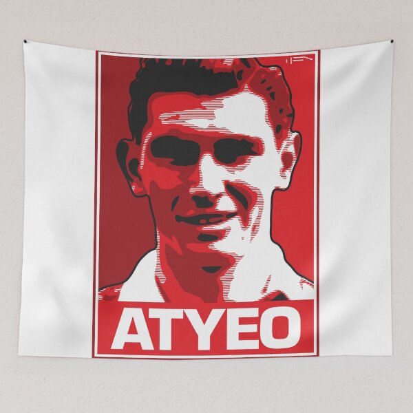 Item preview, Atyeo - BRC designed and sold by DFA.
