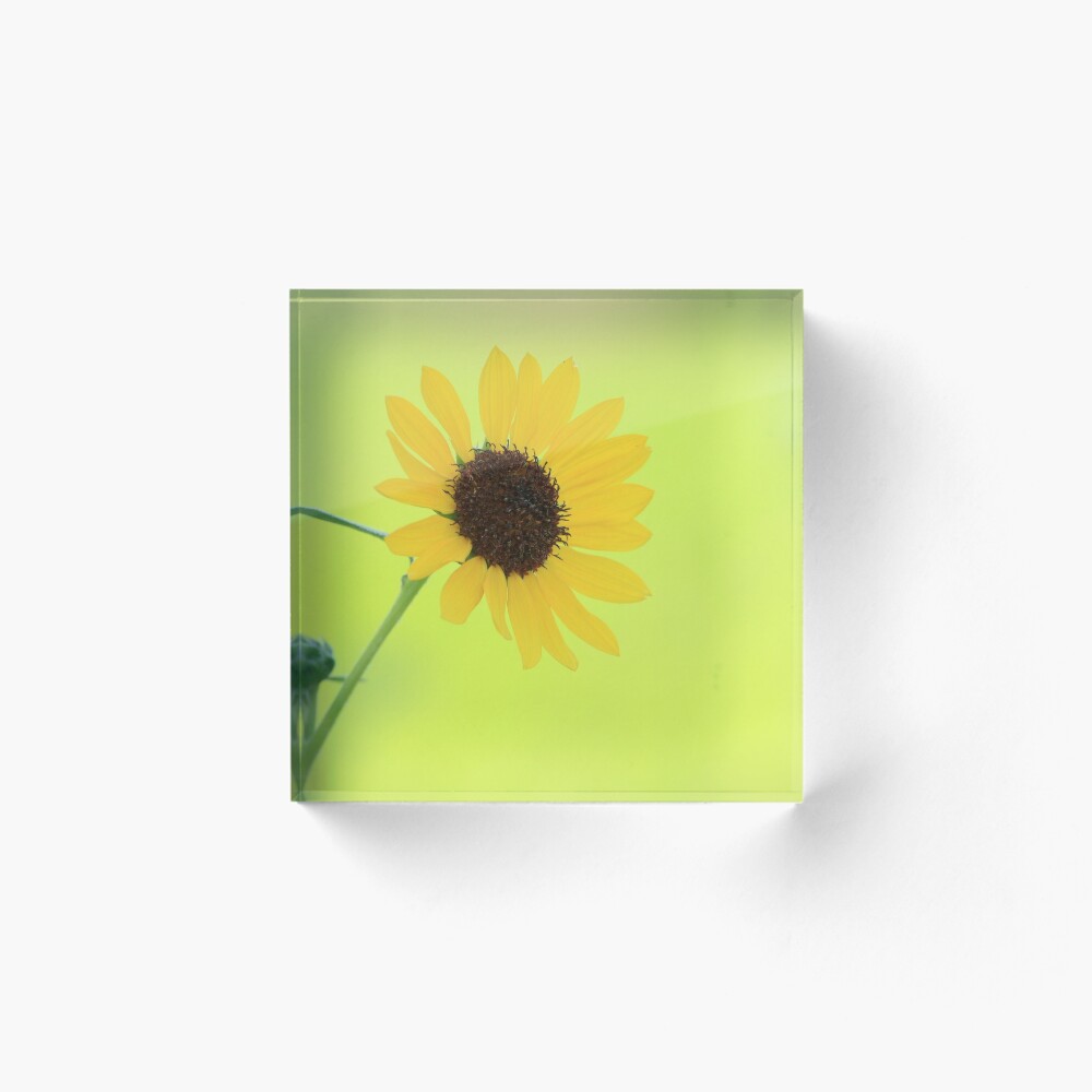 Item preview, Acrylic Block designed and sold by Ronda Sliter.