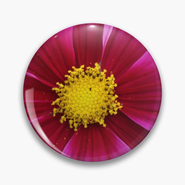 Item preview, Vibrant magenta cosmos - Soft nature photography designed and sold by Cha-s-lens.