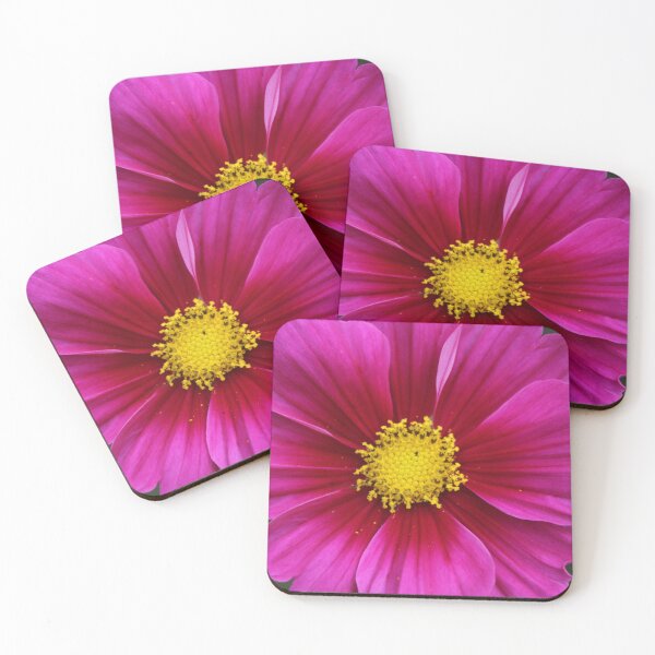 Item preview, Vibrant magenta cosmos - Soft nature photography designed and sold by Cha-s-lens.