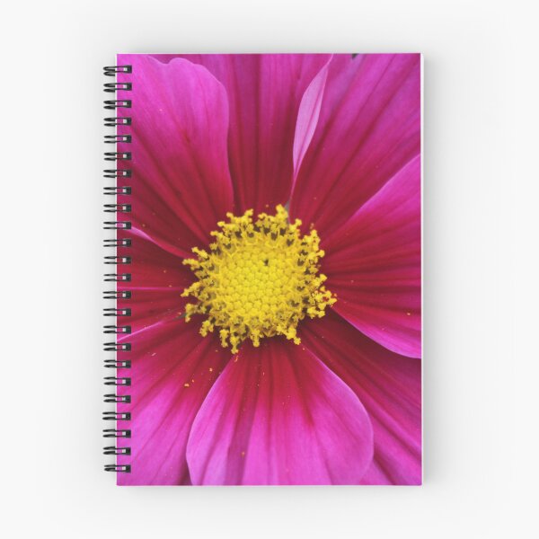 Item preview, Vibrant magenta cosmos - Soft nature photography designed and sold by Cha-s-lens.