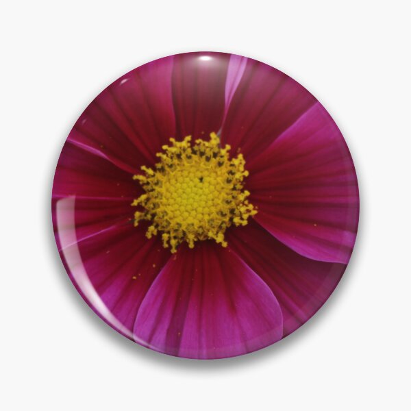 Item preview, Colorful pink cosmos - Soft nature photography designed and sold by Cha-s-lens.