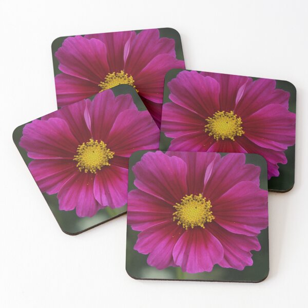 Item preview, Colorful pink cosmos - Soft nature photography designed and sold by Cha-s-lens.