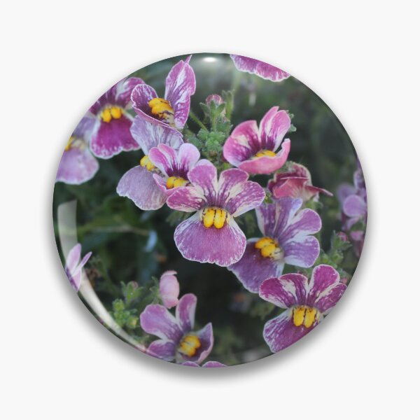 Item preview, Purple pansy in the garden - Soft nature photography designed and sold by Cha-s-lens.