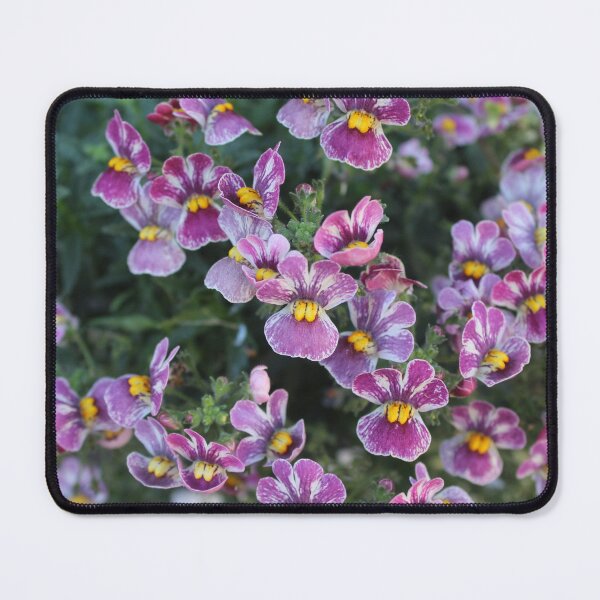 Item preview, Purple pansy in the garden - Soft nature photography designed and sold by Cha-s-lens.