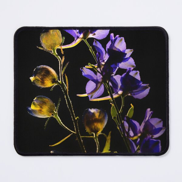 Item preview, Luminous Delphinium on Black designed and sold by Catrinann.
