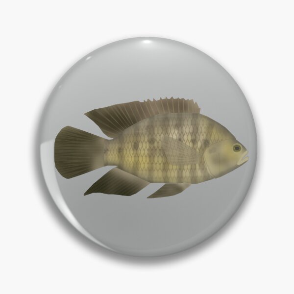 Item preview, Chameleon Cichlid designed and sold by fishfolkart.