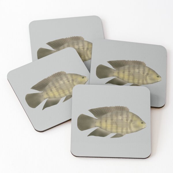 Artikelvorschau, Chamäleon-Buntbarsch entworfen und verkauft von fishfolkart.