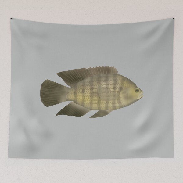 Item preview, Chameleon Cichlid designed and sold by fishfolkart.