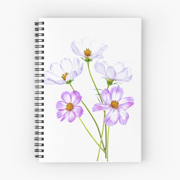 Item preview, Pink and White Cosmos Flowers designed and sold by Catrinann.